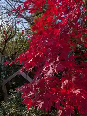 阿佐ヶ谷神明宮(東京都)