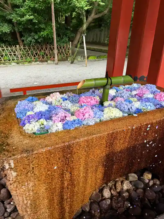鶴岡八幡宮(神奈川県)