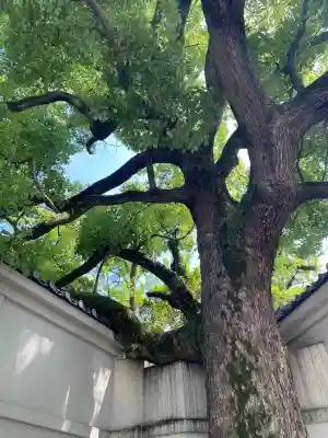 富岡八幡宮(東京都)