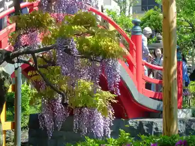 亀戸天神社(東京都)