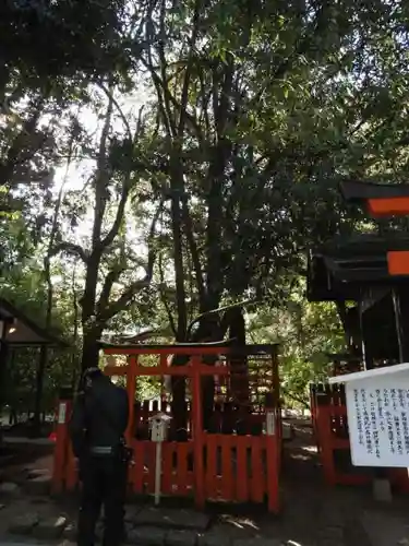 賀茂御祖神社（下鴨神社）の鳥居