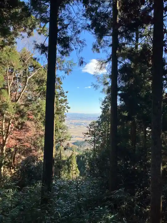 羽黒山神社の自然