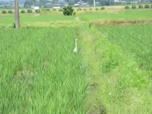 長慶寺(栃木県)
