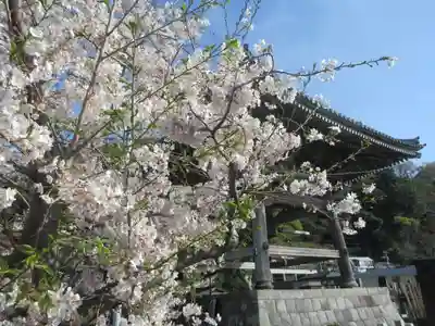 光明寺のその他建物