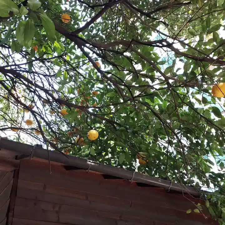 永久稲荷神社の自然