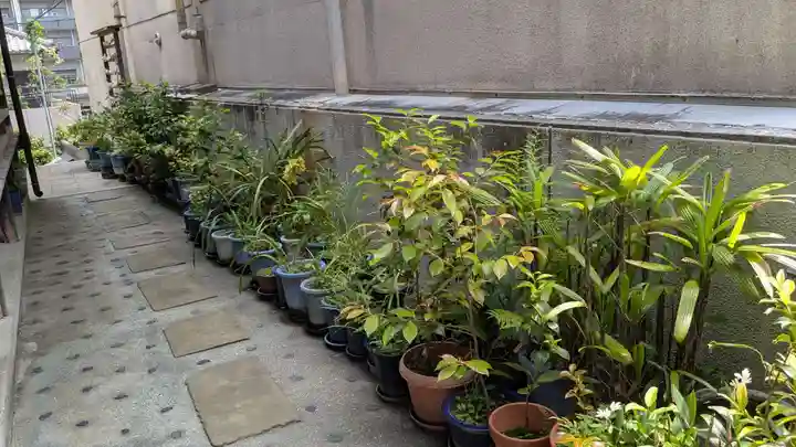 長崎大神宮の庭園