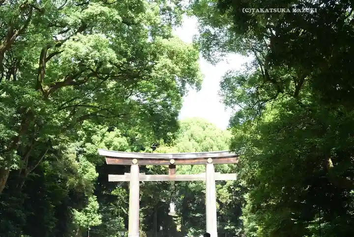 明治神宮(東京都)