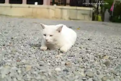 今戸神社(東京都)