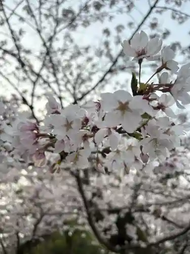 龍城神社の{uncategorized: "未分類", other: "その他", undefined: "問題あり", building: "その他建物", grave: "お墓", sacred_gate: "鳥居", guardian: "狛犬", statue: "像", buddha: "仏像", history: "歴史", nature: "自然", garden: "庭園", animal: "動物", pagoda: "塔", temizu: "手水舎", mountain_gate: "山門・神門", sanctuary: "本殿・本堂", subordinate: "末社・摂社", art: "芸術", scenery: "景色", jizo: "地蔵", ema: "絵馬", goshuin: "御朱印", omikuji: "おみくじ", items: "授与品その他", amulet: "お守り", goshuincho: "御朱印帳", eats: "食事", festival: "お祭り", votive_dance: "神楽", shichigosan: "七五三参", wedding: "結婚式", experience: "体験その他", initially: "初詣", around: "周辺", anti_infection: "感染症対策"}
