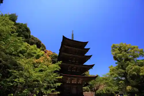 瑠璃光寺の塔