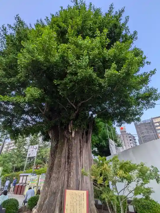 浅草寺(東京都)