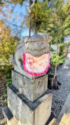 菊田神社の狛犬