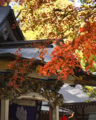 宝登山神社(埼玉県)