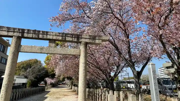 住吉神社の鳥居