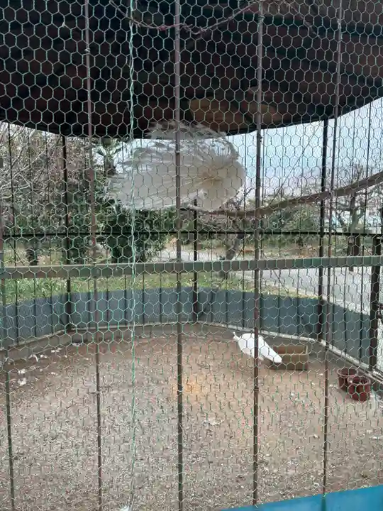 進雄神社(群馬県)