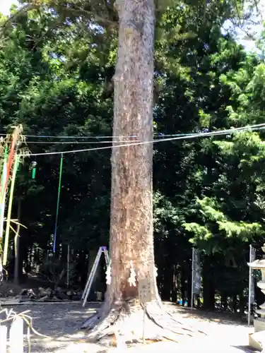滑川神社 - 仕事と子どもの守り神の自然