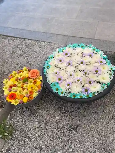 埼玉厄除け開運大師・龍泉寺（切り絵御朱印発祥の寺）(埼玉県)
