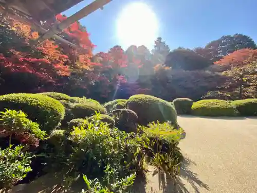 詩仙堂（丈山寺）の庭園