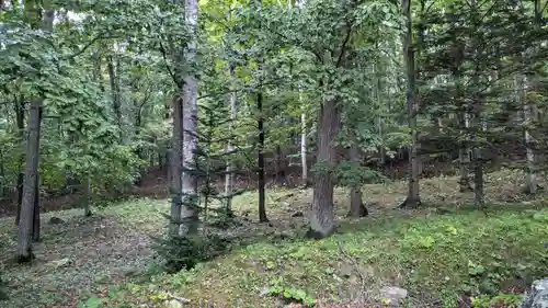 生田原神社の自然