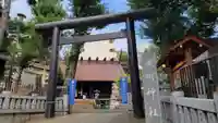 高円寺氷川神社の鳥居