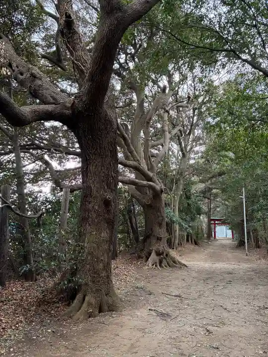 子安神社(千葉県)