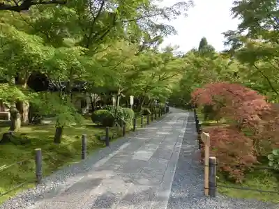 禅林寺(永観堂)(京都府)