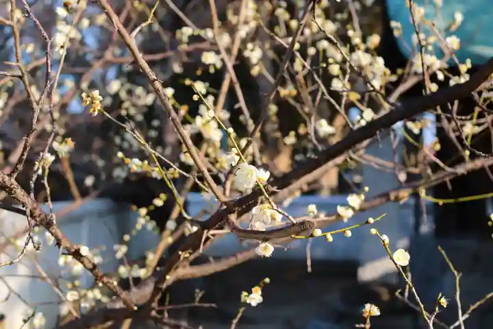 三津厳島神社(愛媛県)