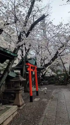 天孫神社(滋賀県)