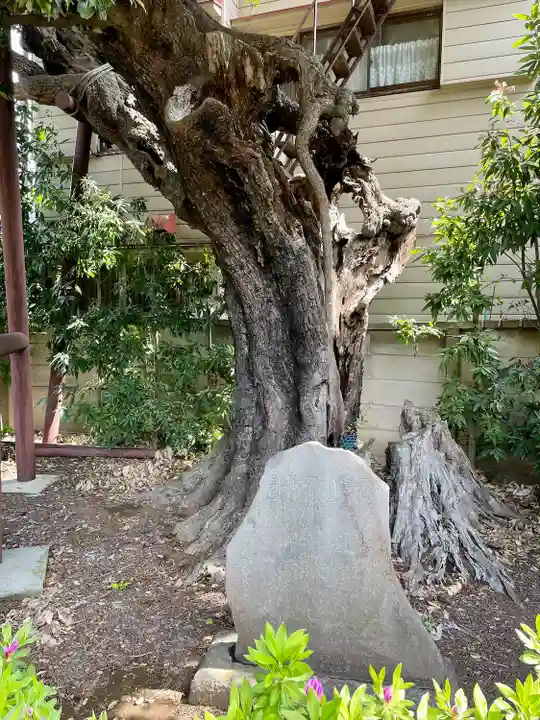 延命院(東京都)