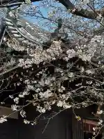 萩中神社の{uncategorized: "未分類", other: "その他", undefined: "問題あり", building: "その他建物", grave: "お墓", sacred_gate: "鳥居", guardian: "狛犬", statue: "像", buddha: "仏像", history: "歴史", nature: "自然", garden: "庭園", animal: "動物", pagoda: "塔", temizu: "手水舎", mountain_gate: "山門・神門", sanctuary: "本殿・本堂", subordinate: "末社・摂社", art: "芸術", scenery: "景色", jizo: "地蔵", ema: "絵馬", goshuin: "御朱印", omikuji: "おみくじ", items: "授与品その他", amulet: "お守り", goshuincho: "御朱印帳", eats: "食事", festival: "お祭り", votive_dance: "神楽", shichigosan: "七五三参", wedding: "結婚式", experience: "体験その他", initially: "初詣", around: "周辺", anti_infection: "感染症対策"}