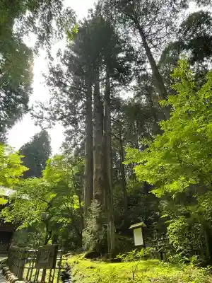 御岩神社(茨城県)