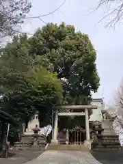 諏訪神社の鳥居