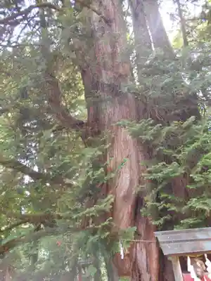 伊佐須美神社(福島県)