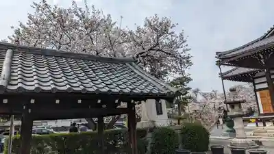 妙蓮寺(京都府)