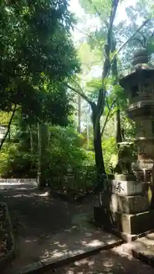 尾張大國霊神社(国府宮)の狛犬