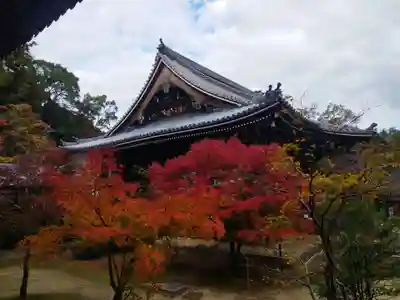 光明寺（粟生光明寺）(京都府)
