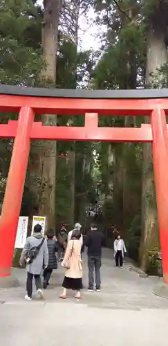 箱根神社の鳥居