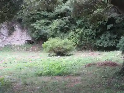 東勝寺跡の庭園