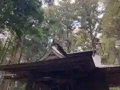 青山神社(茨城県)