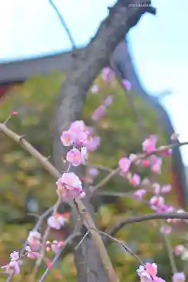 居木神社(東京都)
