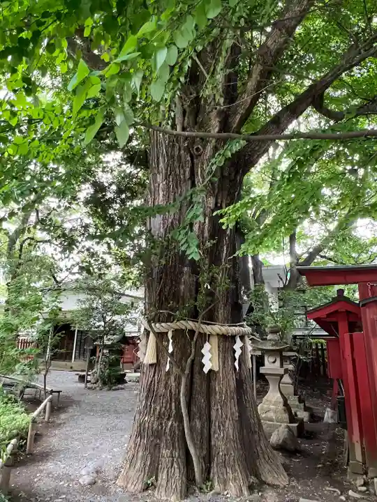秩父神社の自然