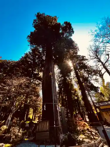 河口浅間神社(山梨県)