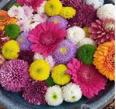 福泉寺(群馬県)