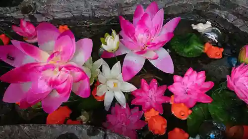 三輪神社の手水舎