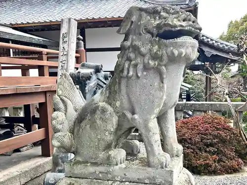 護国寺の狛犬