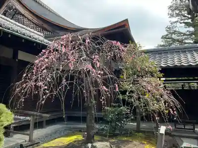観智院（東寺子院）(京都府)