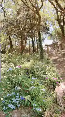 福母八幡宮(佐賀県)