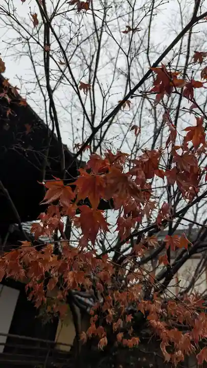 勝林寺(京都府)