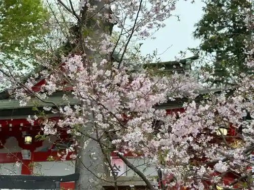 川越八幡宮の{uncategorized: "未分類", other: "その他", undefined: "問題あり", building: "その他建物", grave: "お墓", sacred_gate: "鳥居", guardian: "狛犬", statue: "像", buddha: "仏像", history: "歴史", nature: "自然", garden: "庭園", animal: "動物", pagoda: "塔", temizu: "手水舎", mountain_gate: "山門・神門", sanctuary: "本殿・本堂", subordinate: "末社・摂社", art: "芸術", scenery: "景色", jizo: "地蔵", ema: "絵馬", goshuin: "御朱印", omikuji: "おみくじ", items: "授与品その他", amulet: "お守り", goshuincho: "御朱印帳", eats: "食事", festival: "お祭り", votive_dance: "神楽", shichigosan: "七五三参", wedding: "結婚式", experience: "体験その他", initially: "初詣", around: "周辺", anti_infection: "感染症対策"}