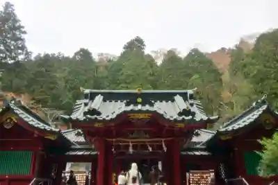 箱根神社(神奈川県)
